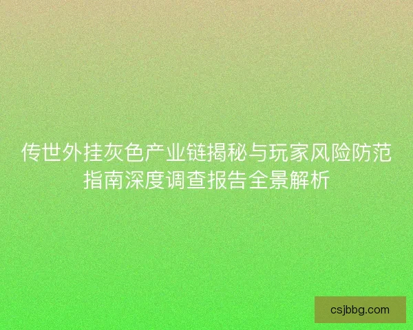 传世外挂灰色产业链揭秘与玩家风险防范指南深度调查报告全景解析